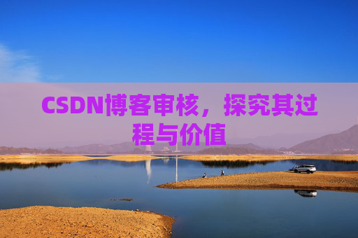 CSDN博客审核，探究其过程与价值